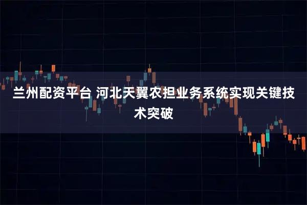 兰州配资平台 河北天翼农担业务系统实现关键技术突破